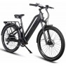 Dirwin Pacer Lite Commuter Electric Bike