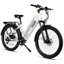 Dirwin Pacer Lite Commuter Electric Bike