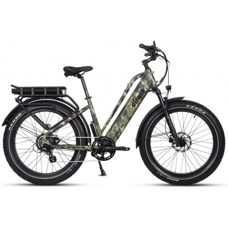 Dirwin Pioneer Plus Fat Tire Electric Bike