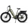 Dirwin Pioneer Plus Fat Tire Electric Bike