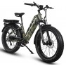 Dirwin Pioneer Plus Fat Tire Electric Bike